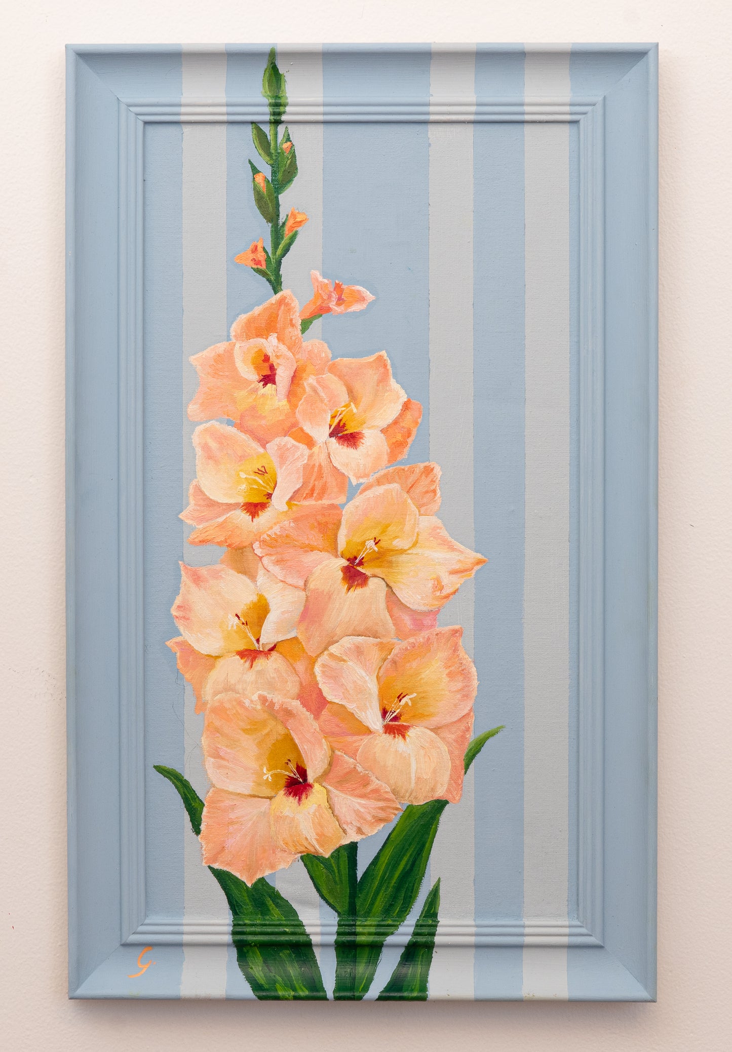 Gladiolus - "Spring Strength"