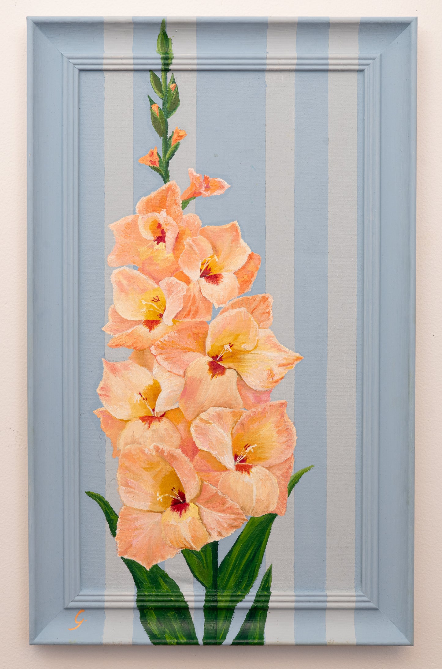 Gladiolus - "Spring Strength"