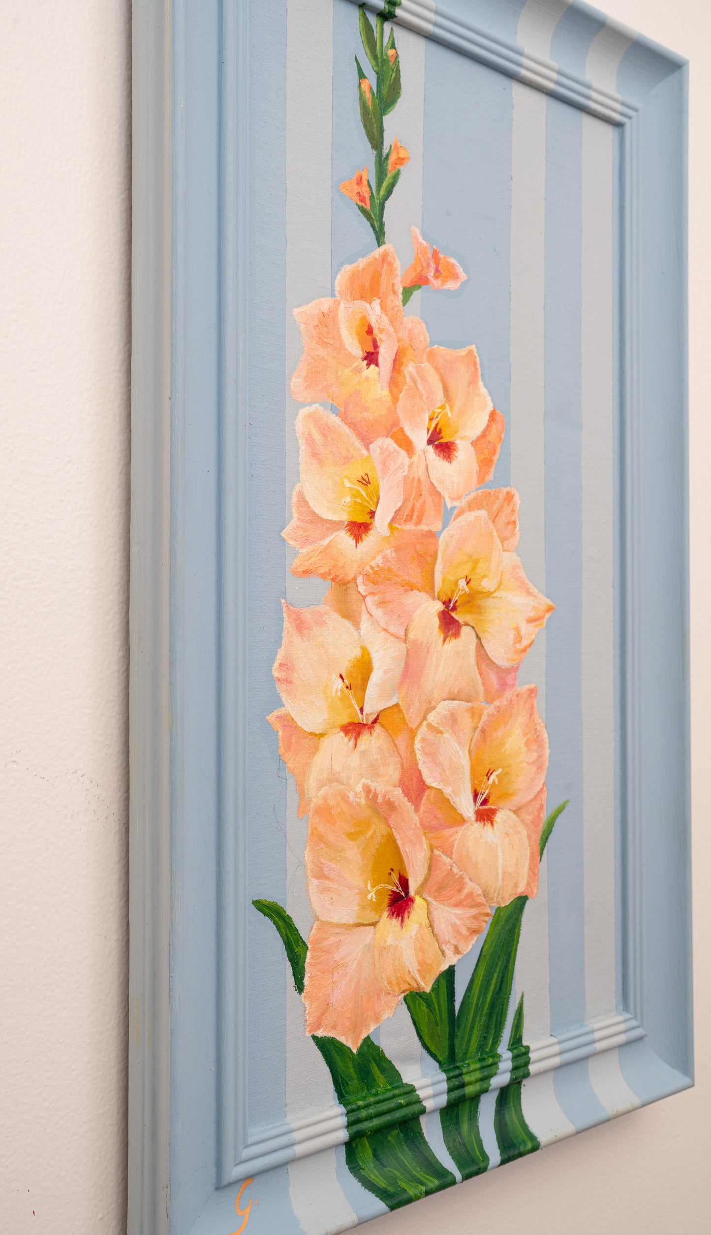 Gladiolus - "Spring Strength"