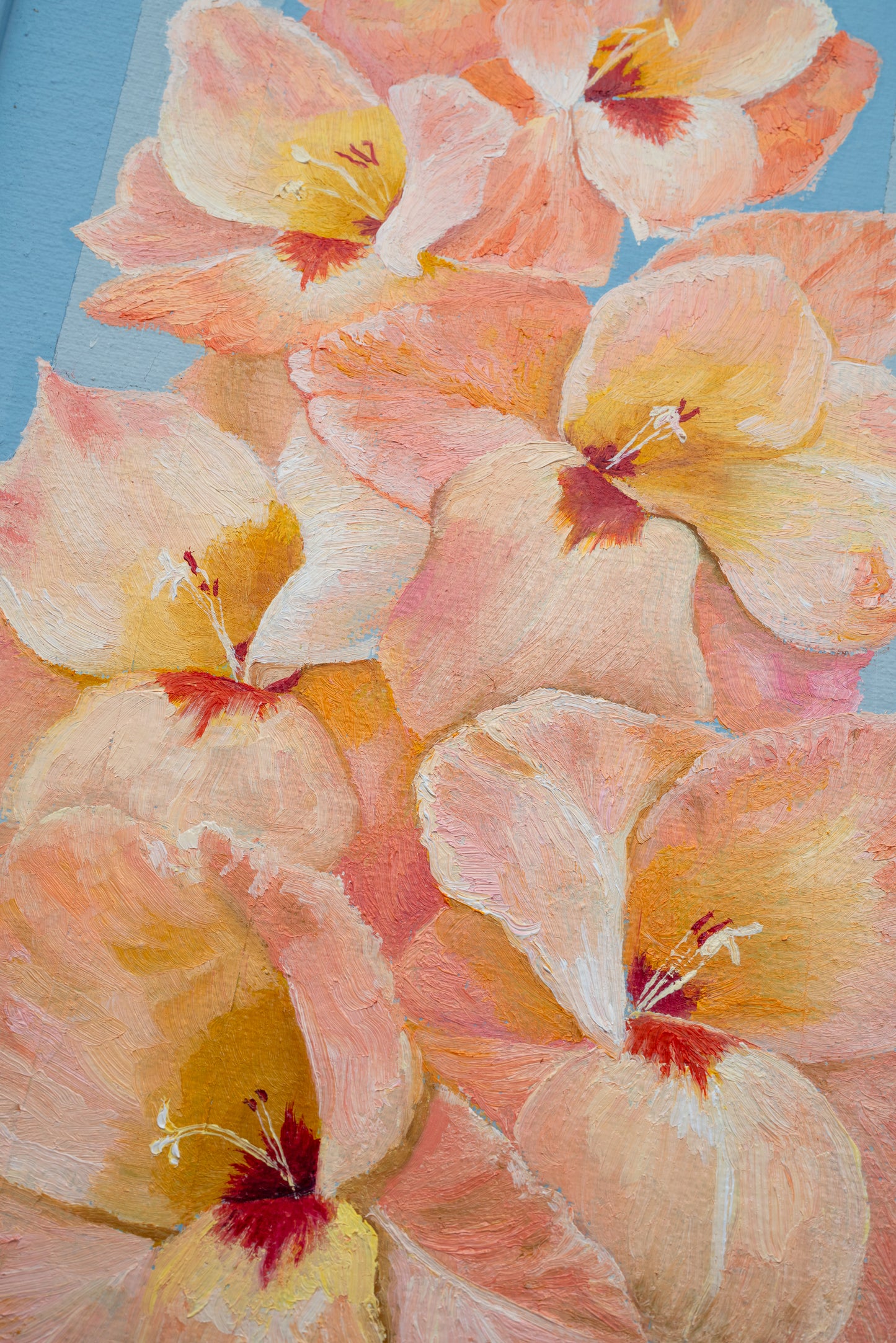 Gladiolus - "Spring Strength"