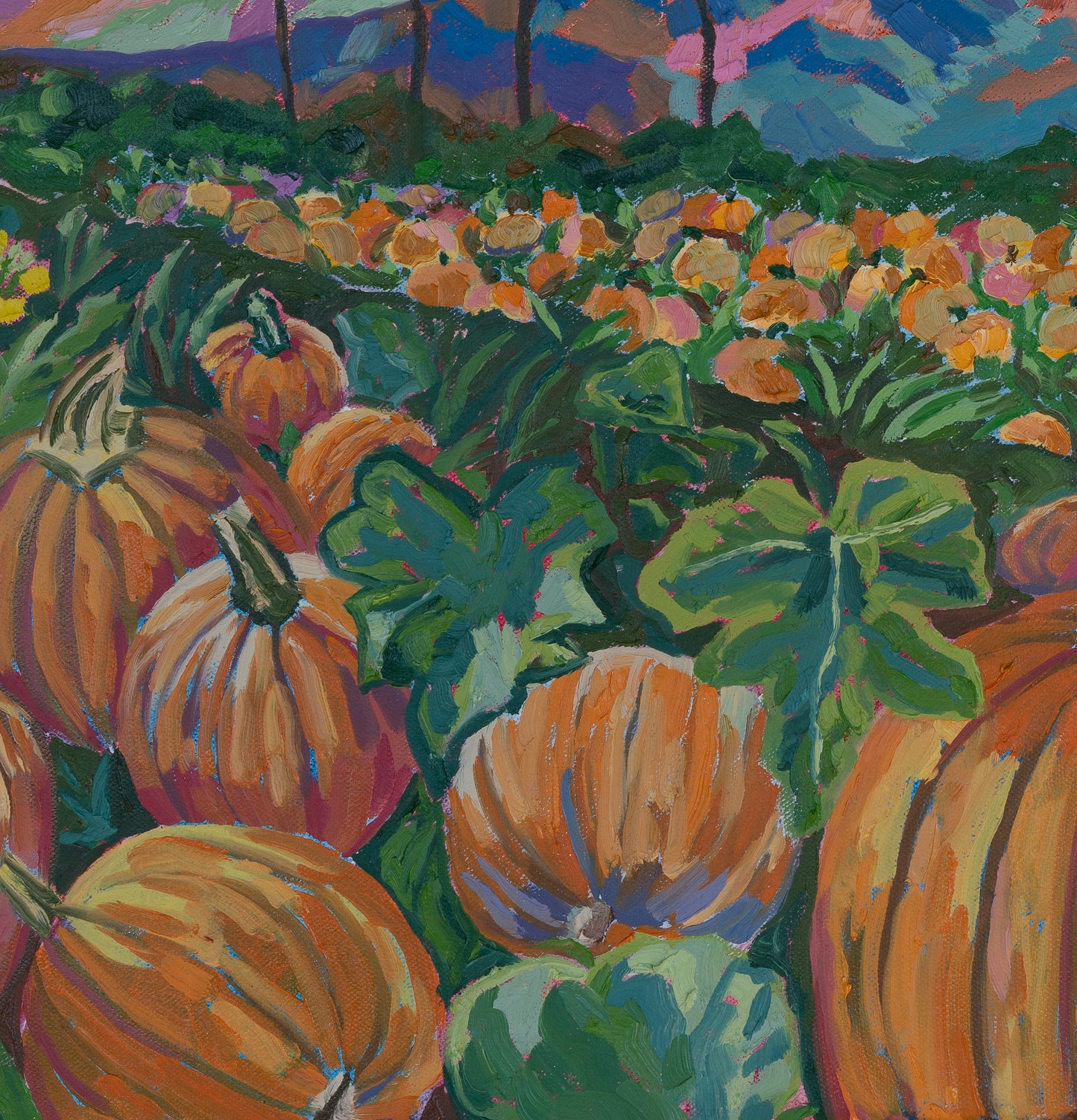 Warm Autumn Pumpkins