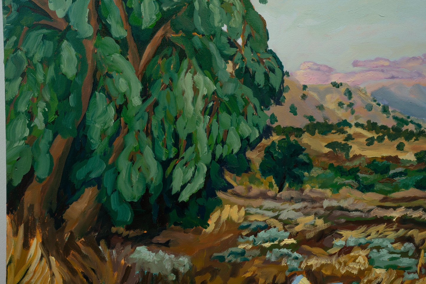 The Clearing