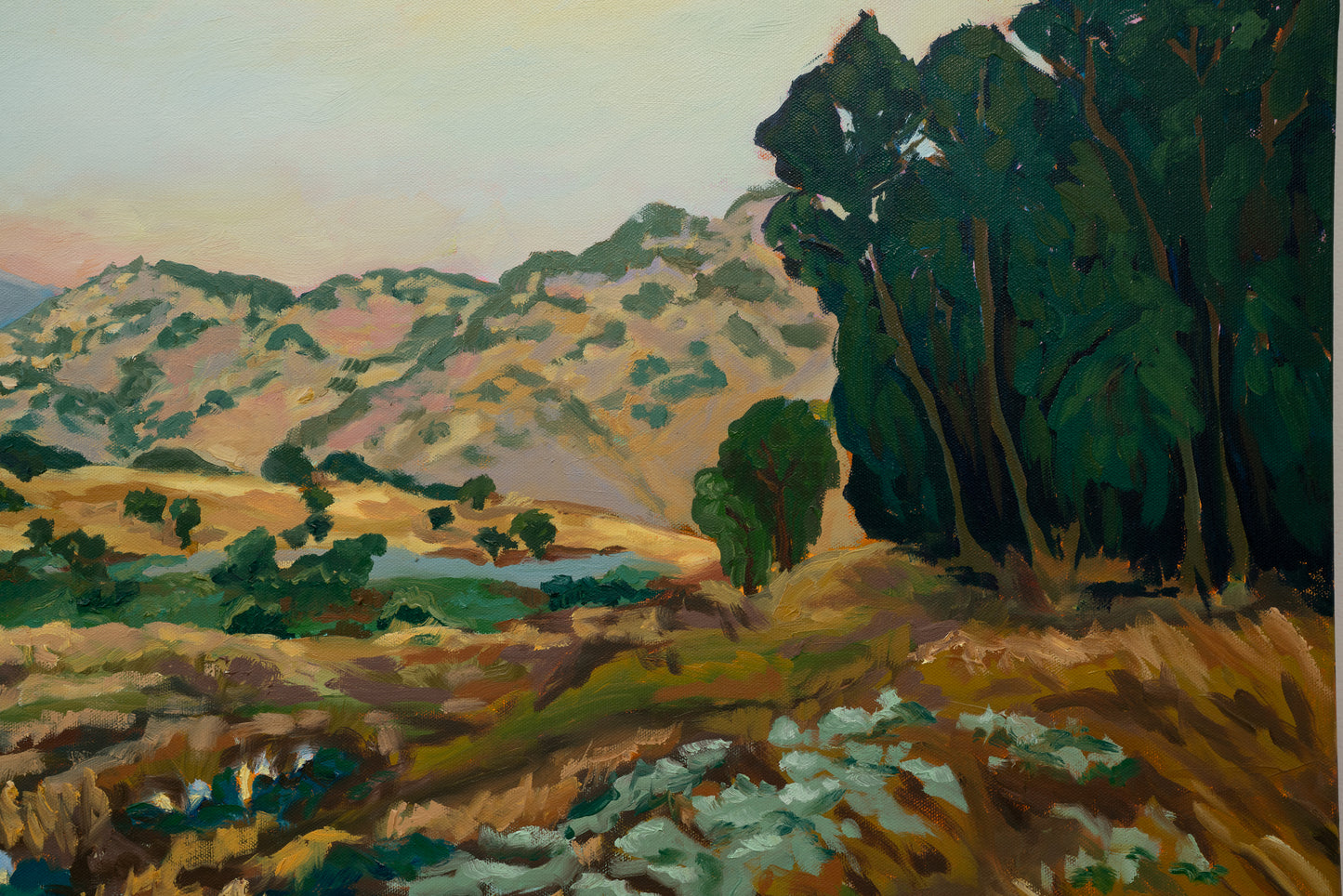 The Clearing