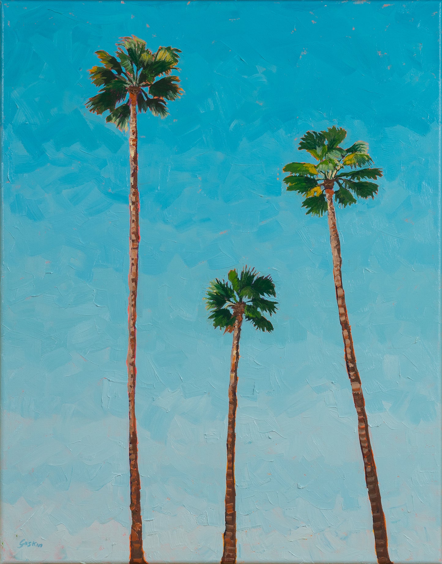 3 California Palms
