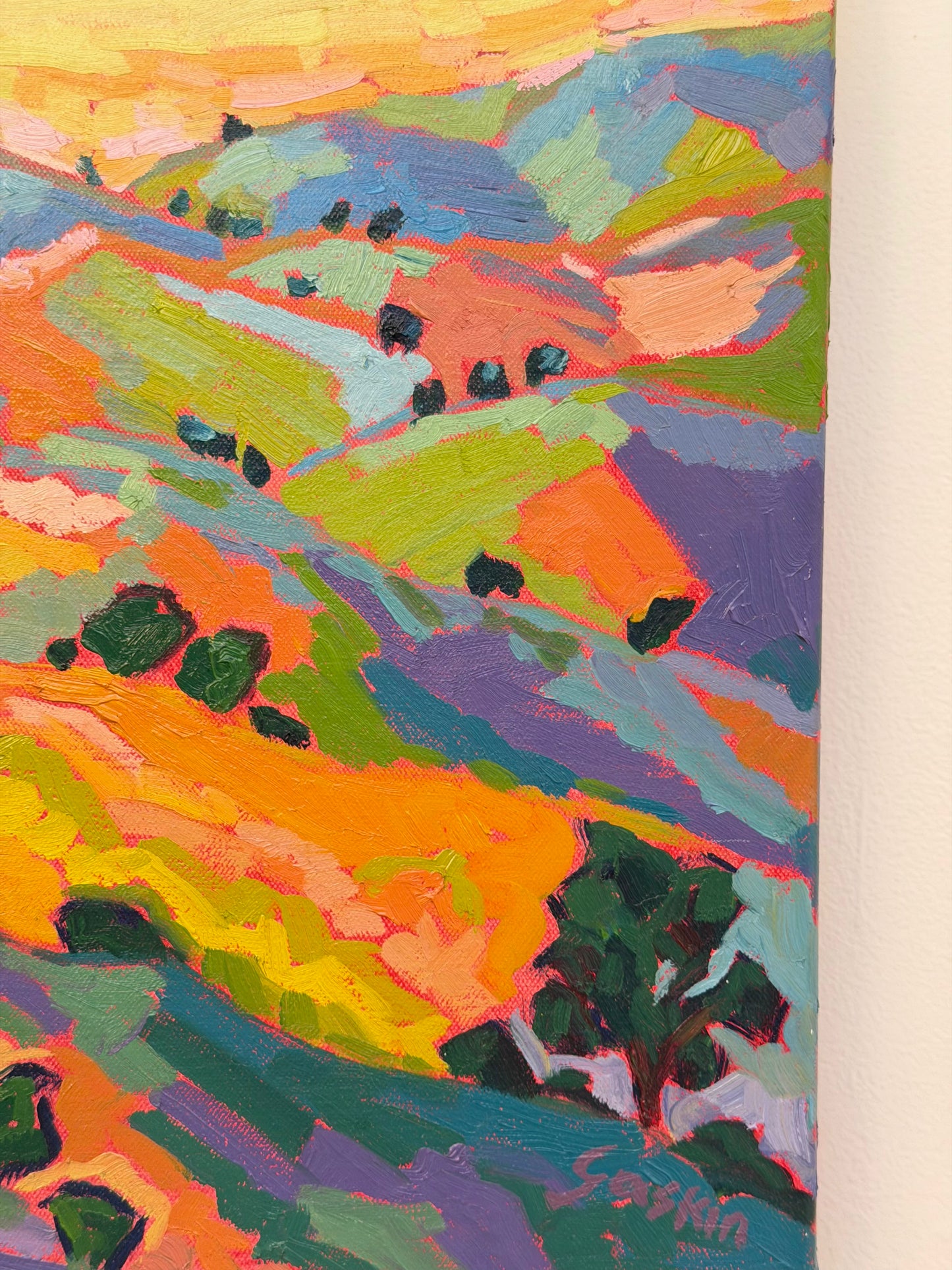 Spring in the Hills