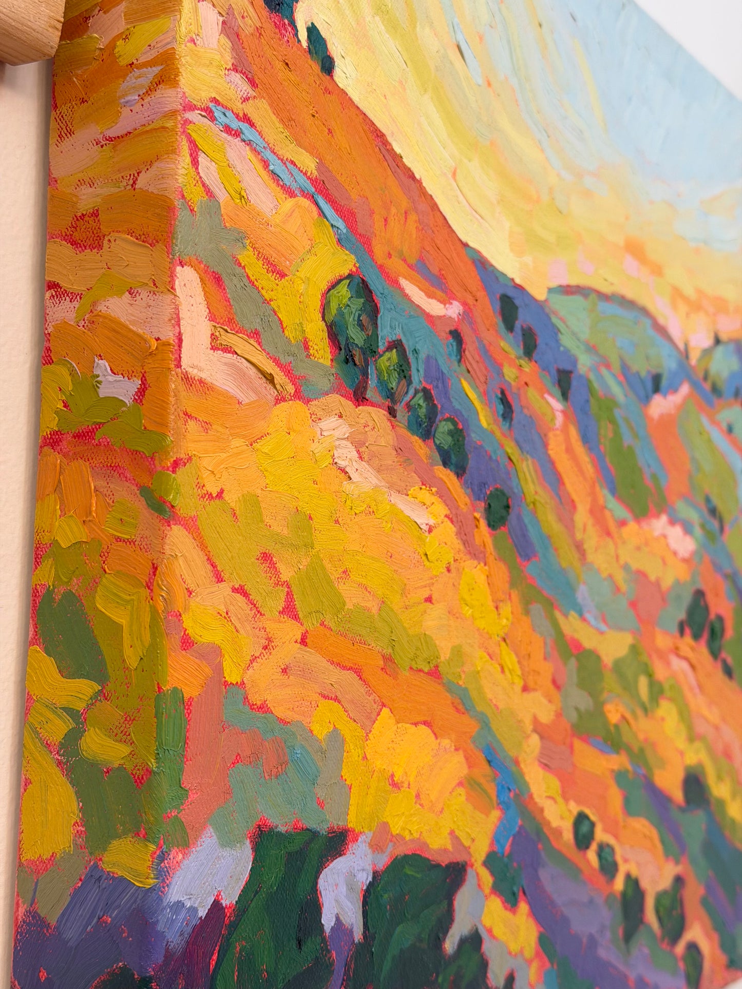 Spring in the Hills