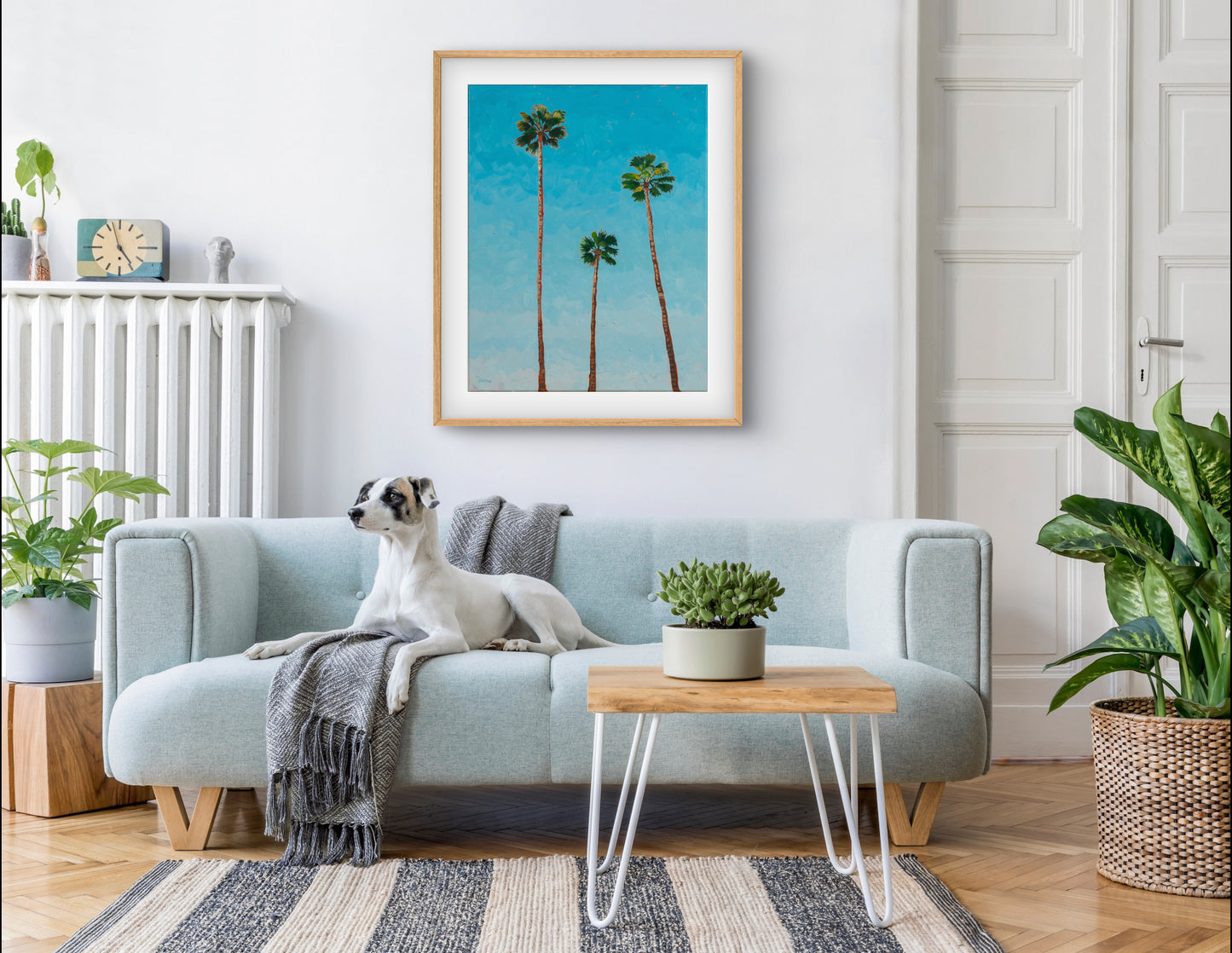 3 California Palms