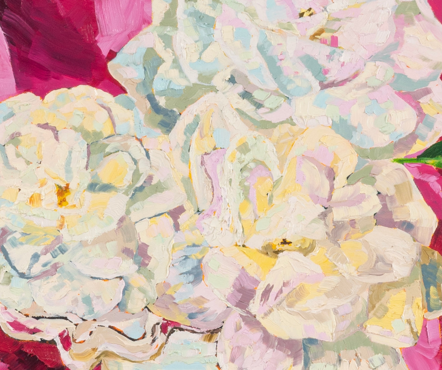 White Roses with Pink Velvet