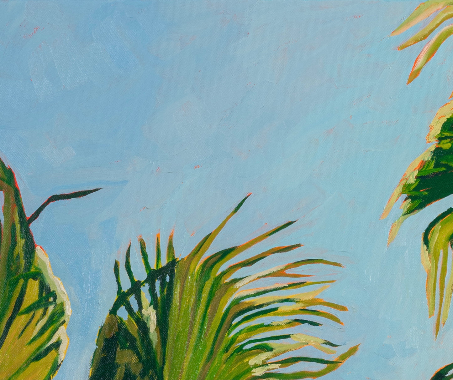 Gaze Through the Fronds