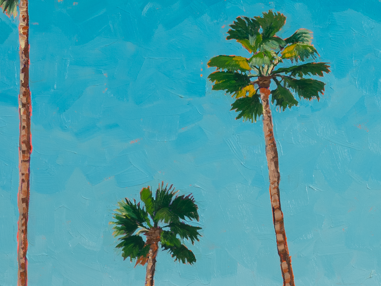 3 California Palms