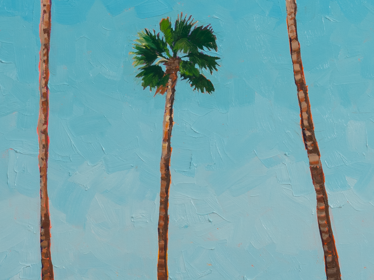 3 California Palms
