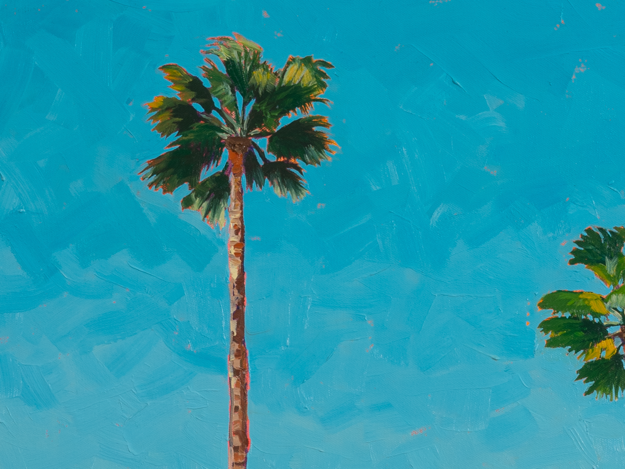 3 California Palms