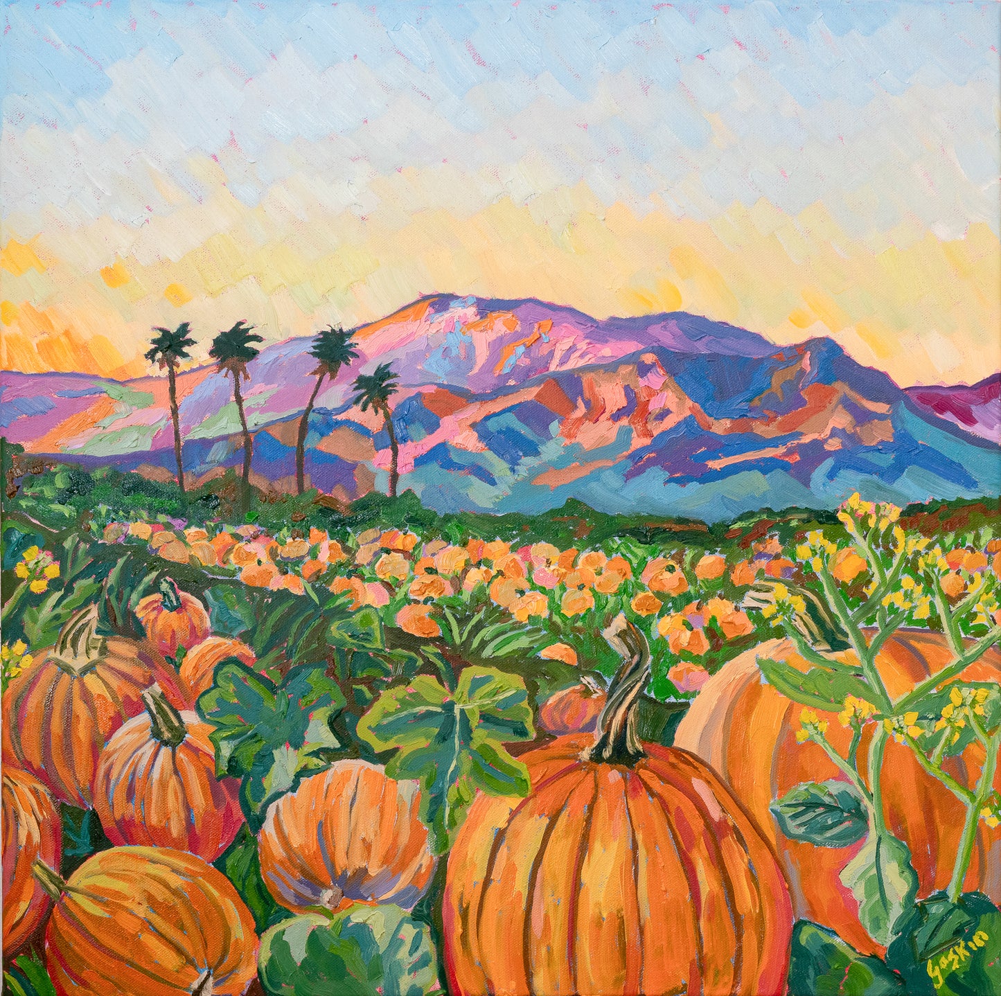 Warm Autumn Pumpkins
