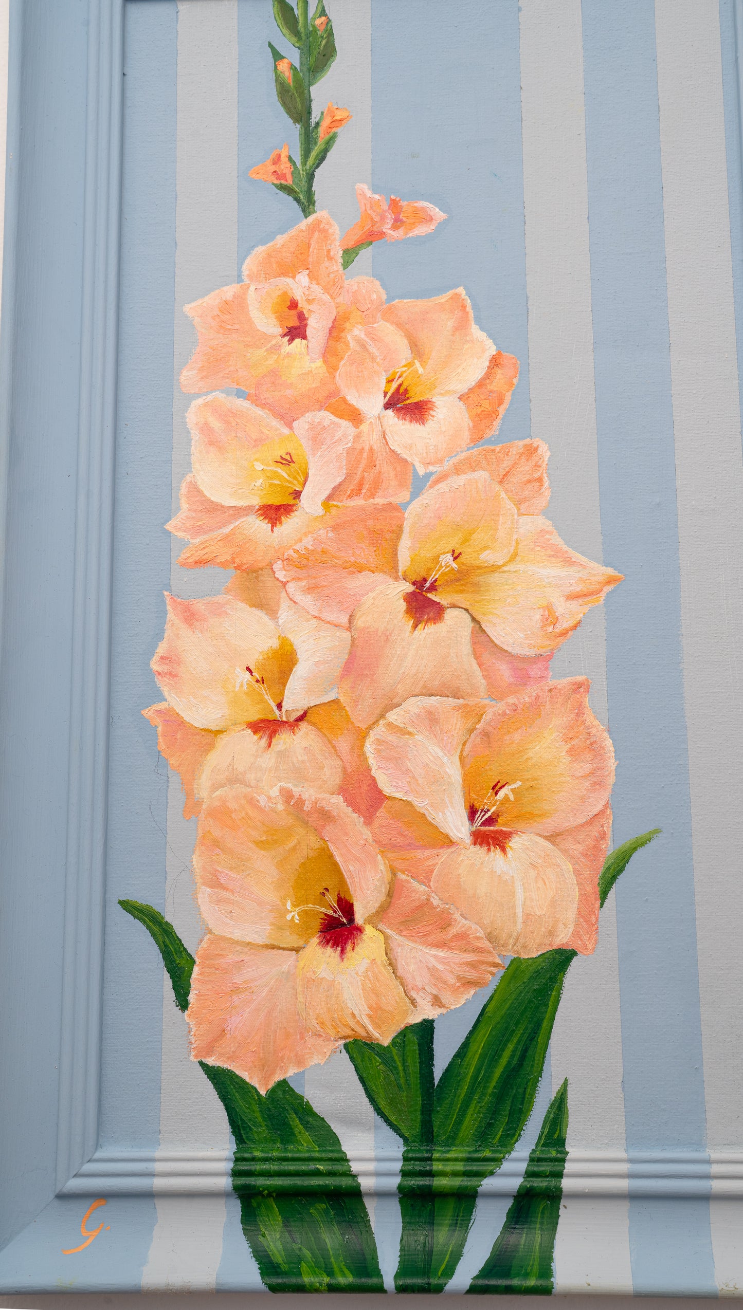 Gladiolus - "Spring Strength"