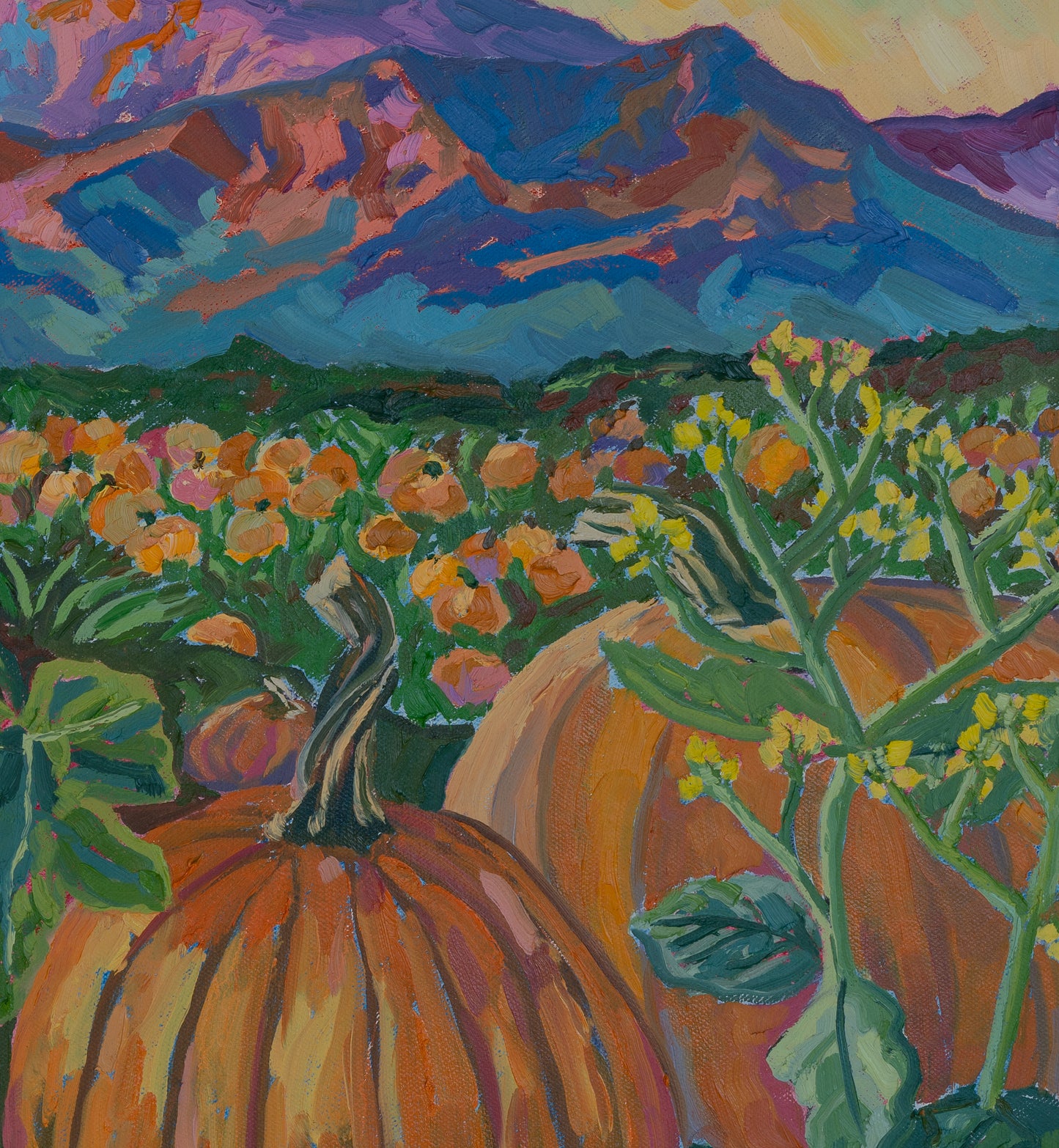 Warm Autumn Pumpkins