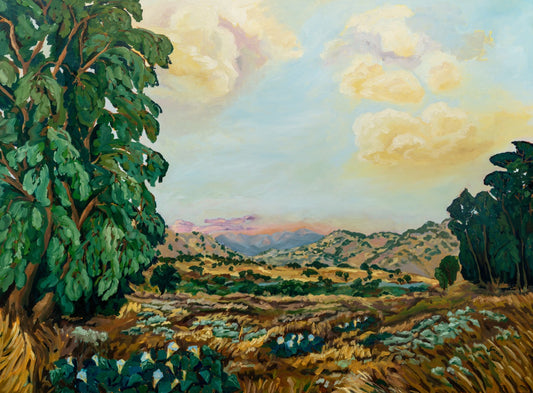 The Clearing