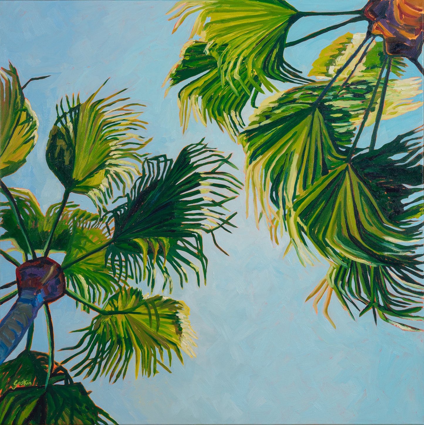 Gaze Through the Fronds