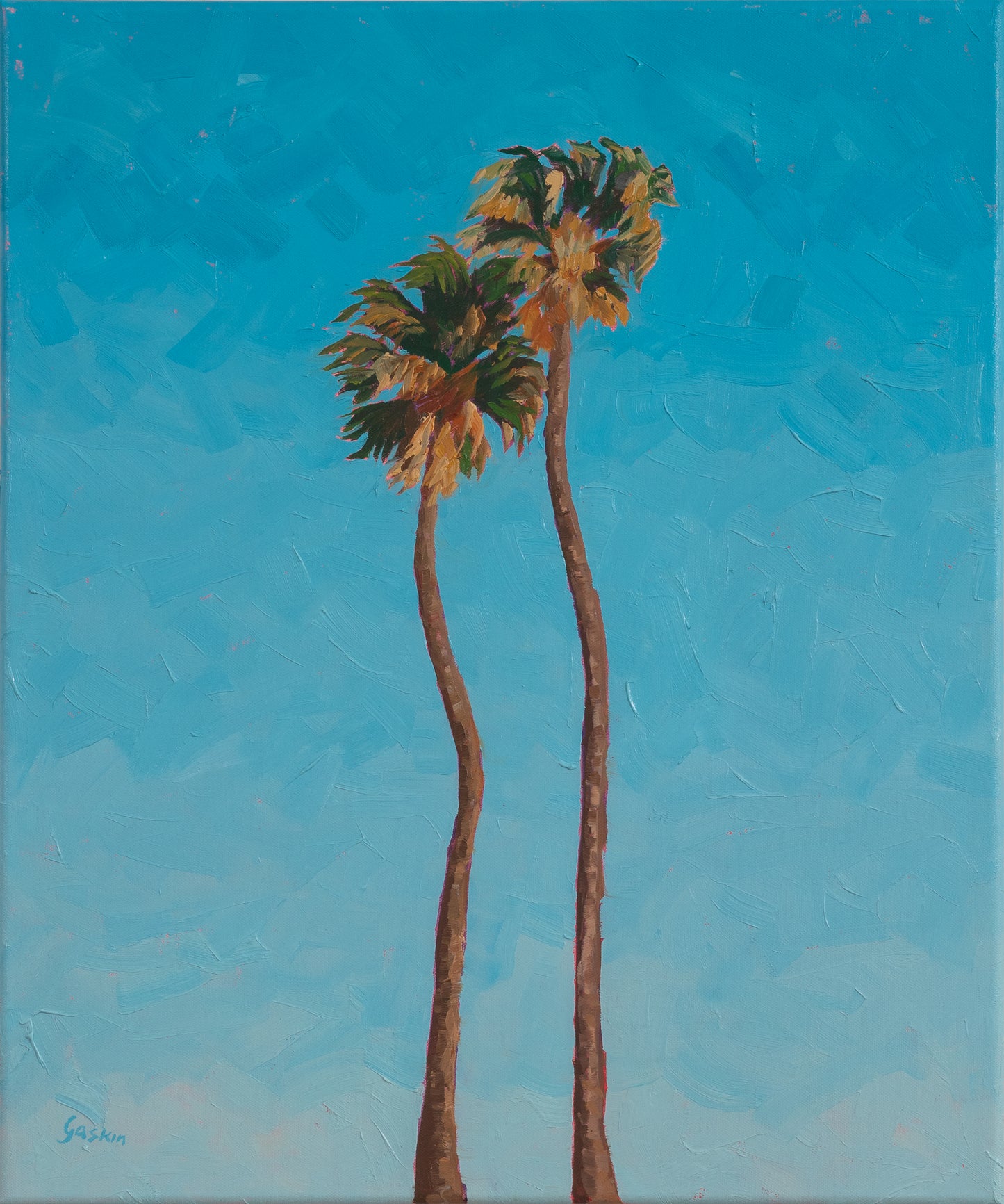 2 California Palms