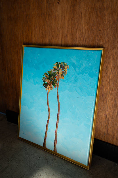 2 California Palms