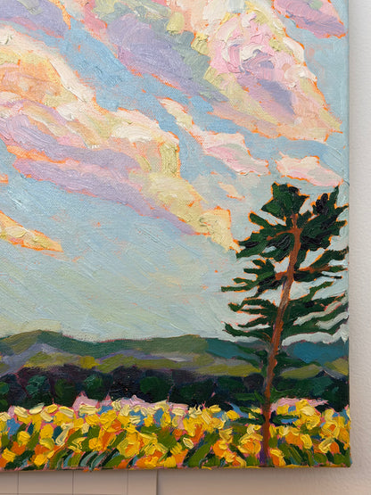 Blooming Skies