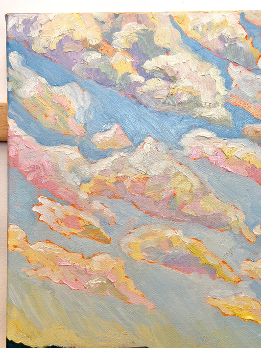 Blooming Skies