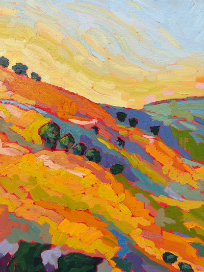Spring in the Hills