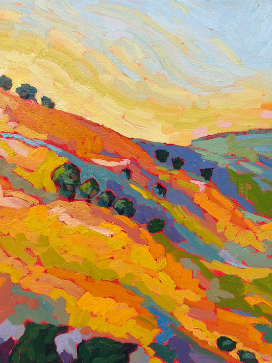 Spring in the Hills