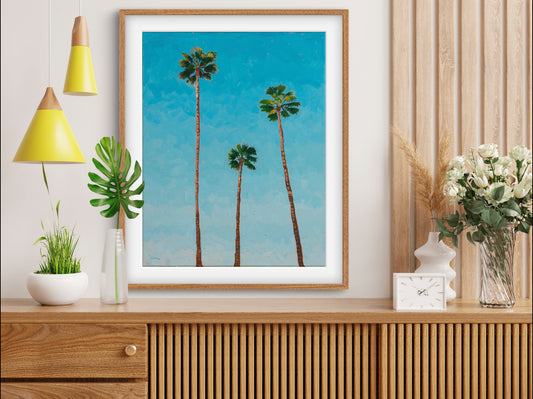 3 California Palms