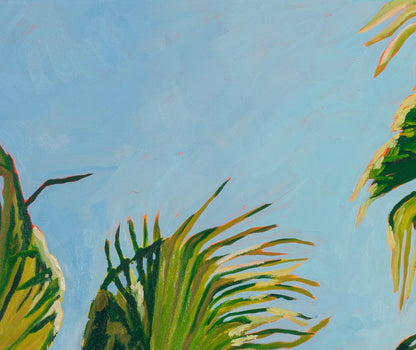 Gaze Through the Fronds
