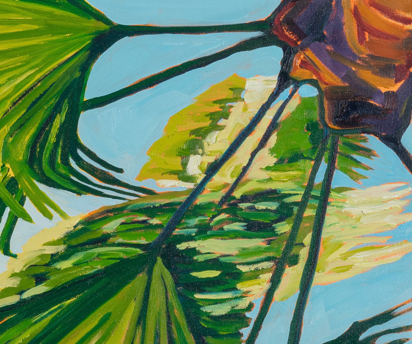 Gaze Through the Fronds