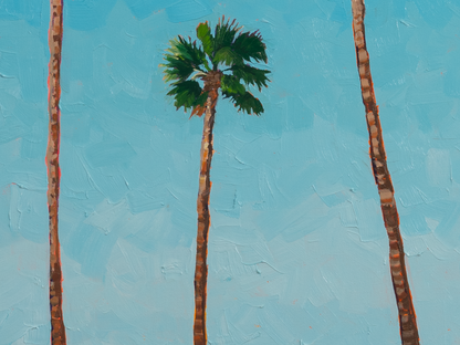 3 California Palms