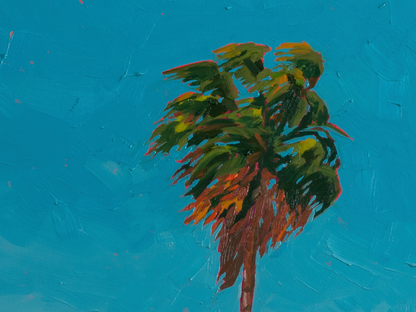 The California Palm