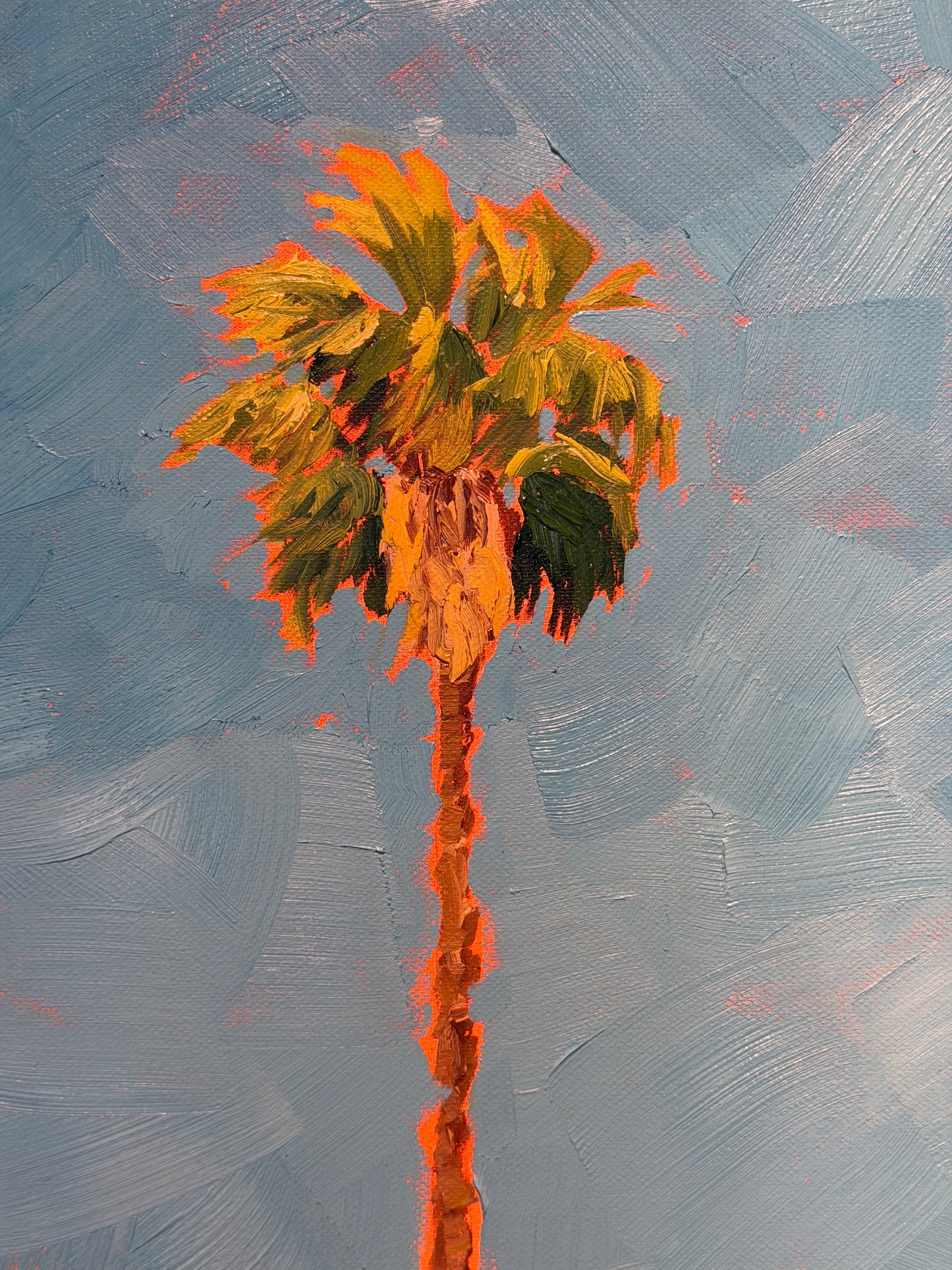 California Palm III
