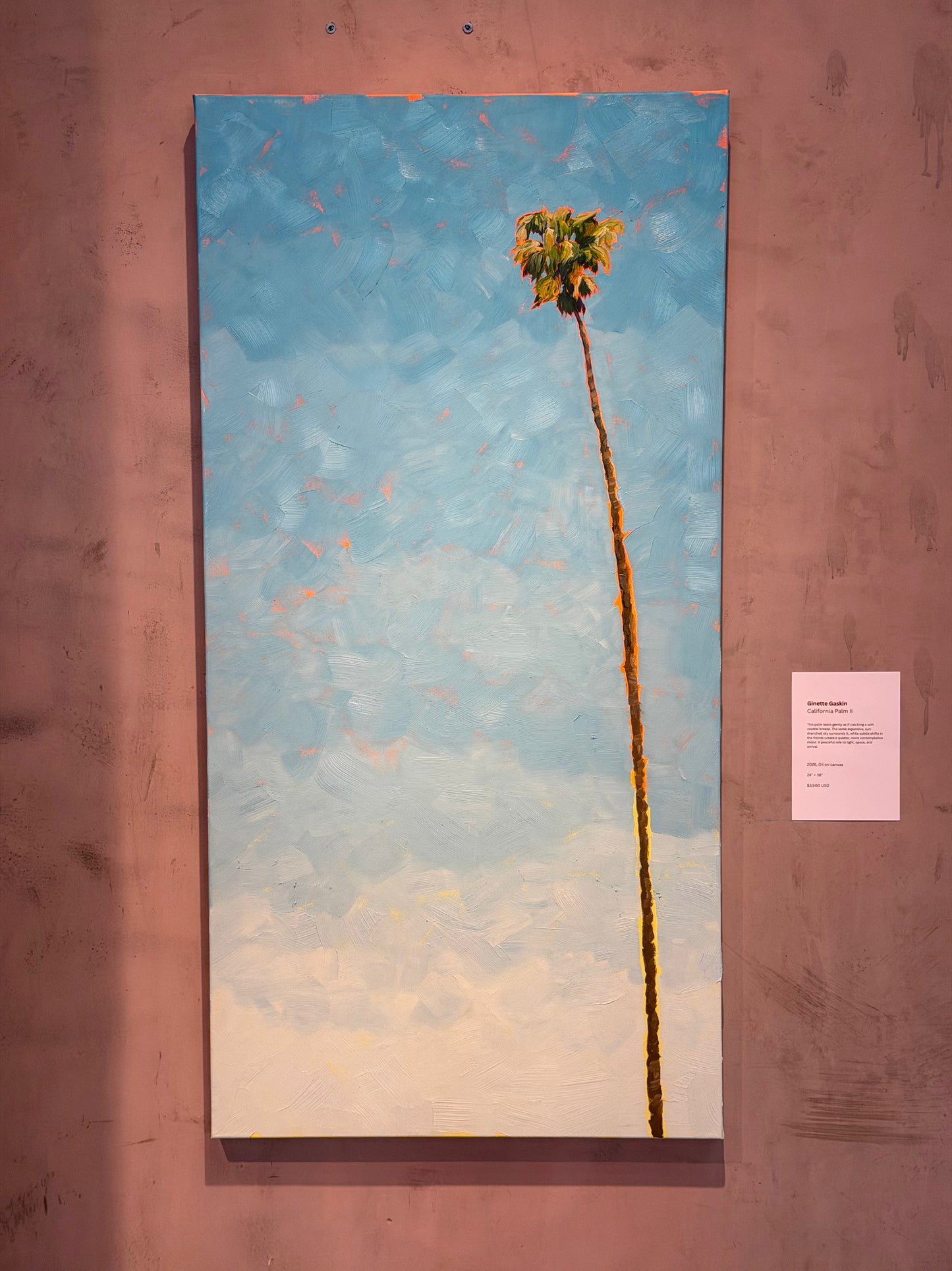 California Palm II