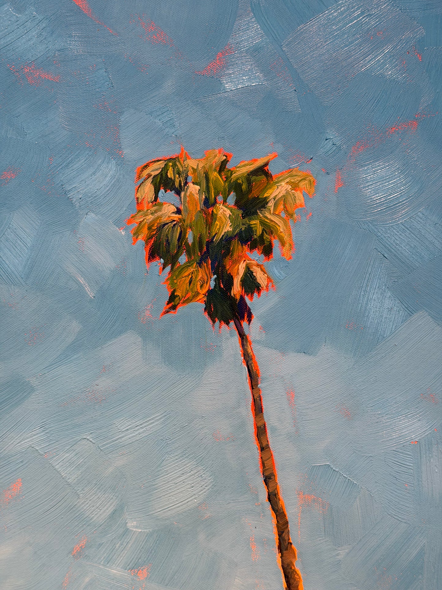 California Palm II