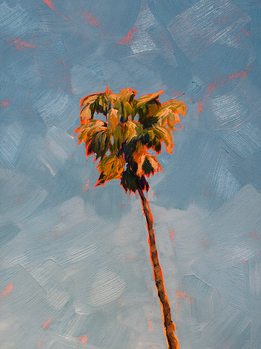California Palm II