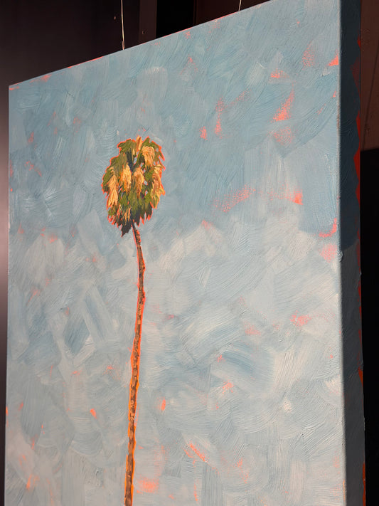 California Palm I